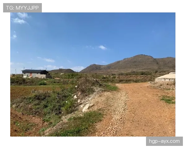 劳塔罗投身慈善获赞,持续传递社会正能量 劳塔罗投身慈善获赞,持续传递社会正能量